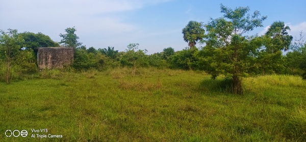 Tolet Care Property Image